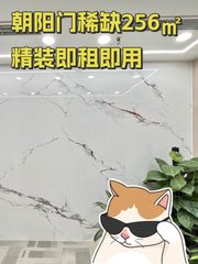 朝阳门稀缺256㎡精装即租即用 - 缩略图 1