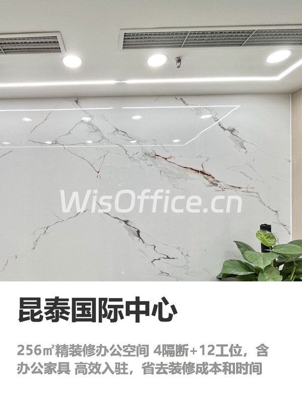 256㎡精装空间，即租即用省心 - 首图