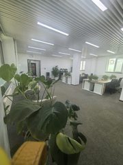 和平西街独栋 396㎡ 地铁0距离 - 缩略图 5