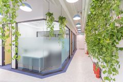 三层花园办公，效率真的能提升？ - 缩略图 13