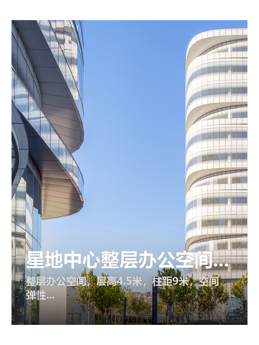 星地中心整层办公，4.5米层高