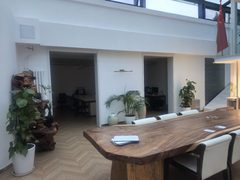 推荐星火西路独院550平米安静独院带中央空调 - 缩略图 4