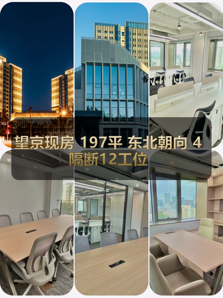 望京现房 197平 东北朝向 4隔断12工位
