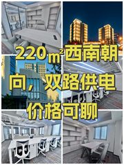 220㎡西南朝向，双路供电价格可聊 - 缩略图 1