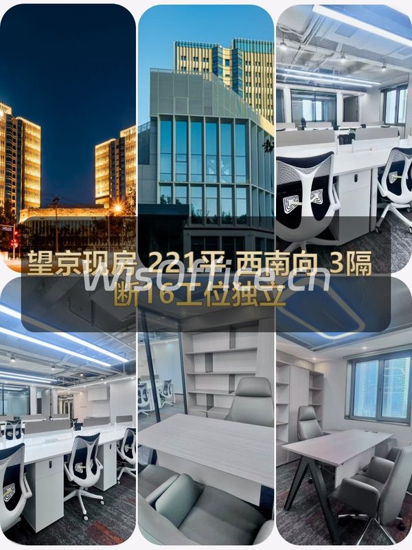 望京现房 221平 西南向 3隔断16工位 双路供电 - 首图