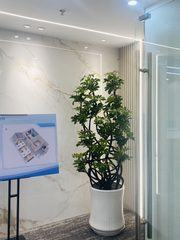 望京现房 109平 东南向 2隔断8工位 - 缩略图 5