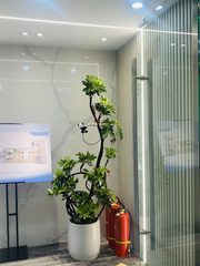86平米实用空间，价格可谈，望京核心地段 - 缩略图 5