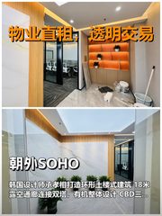 真房｜朝外SOHO |288平｜2.8万｜这楼有点东西 - 缩略图 1