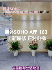 朝外SOHO A座 163㎡ 新装修 正对电梯 - 缩略图 1