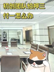 初创团队怕押三付一怎么办 - 缩略图 1