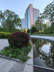 办公室选址中，我好喜欢XX大厦落地窗 - 缩略图 5