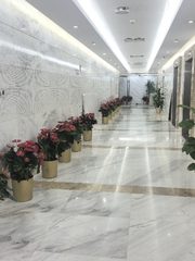 你可以不换园区，但这个北向工位不看会后悔 - 缩略图 4