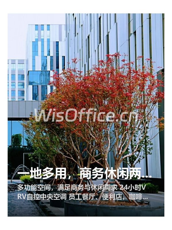 一地多用，商务休闲两不误 - 首图