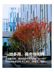 一地多用，商务休闲两不误 - 缩略图 1