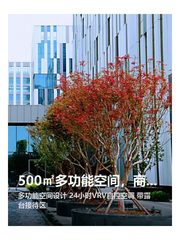 500㎡多功能空间，商务休闲两不误 - 缩略图 1