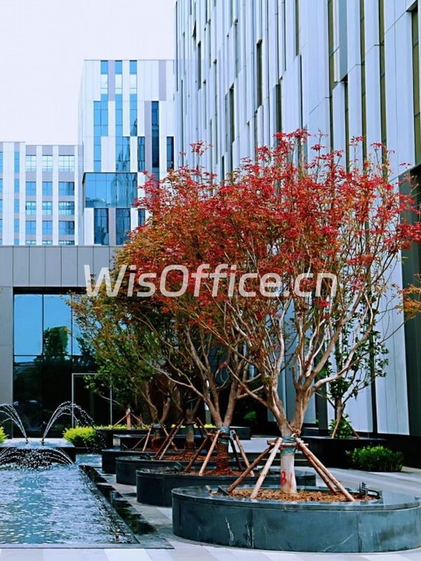 亦庄 500㎡ 四面采光 电梯直达 - 首图