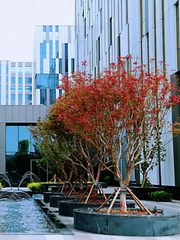 亦庄 500㎡ 四面采光 电梯直达 - 缩略图 1