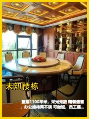 1100平整层，我好喜欢这采光 - 缩略图 1