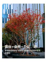 露台+会所+办公，老板看了都说绝 - 缩略图 1