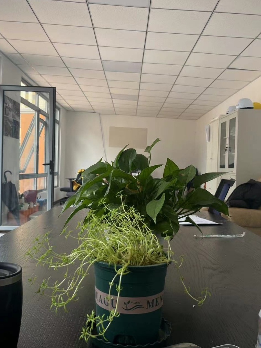 推荐果荳院子170平低密花园办公