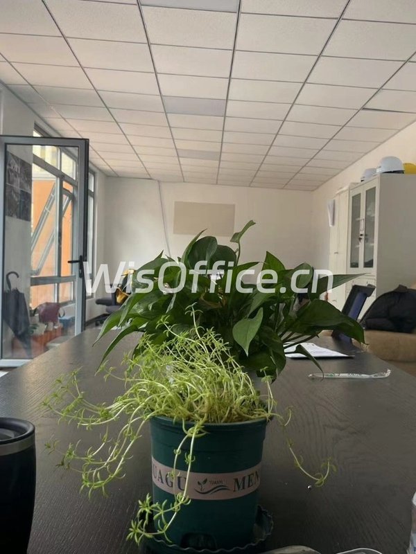 推荐果荳院子170平低密花园办公 - 首图