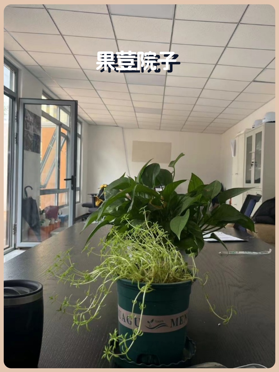 石佛营独栋170平花园办公