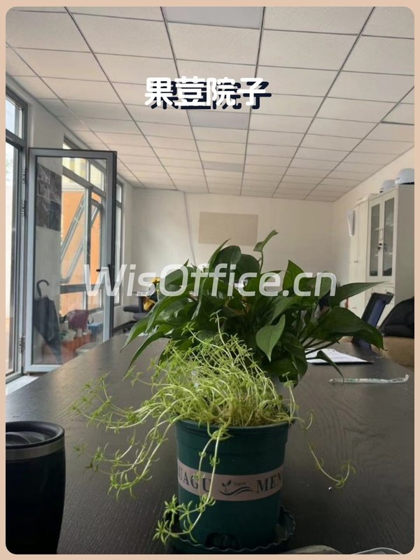 石佛营独栋170平花园办公 - 首图