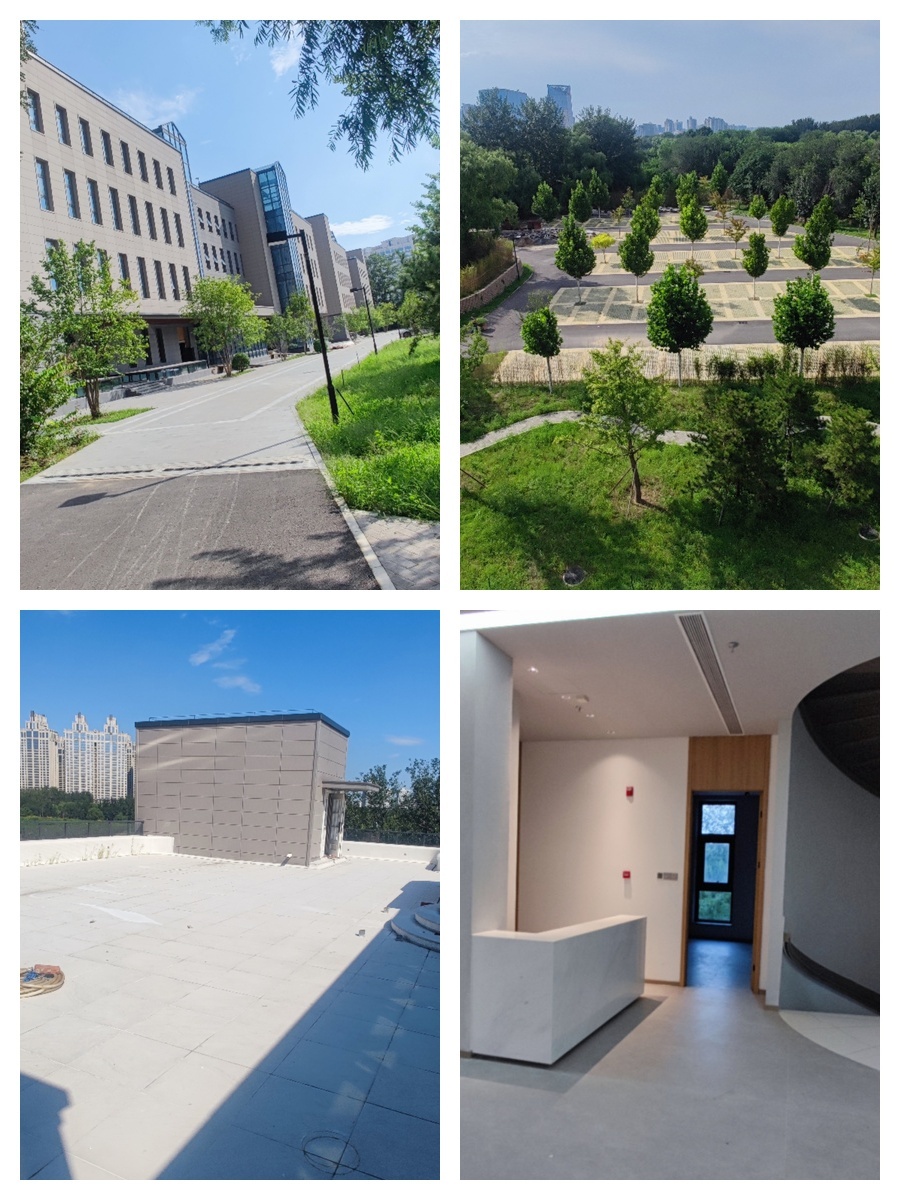 汽车影院如何变身办公新物种？