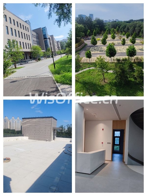 汽车影院如何变身办公新物种？ - 首图