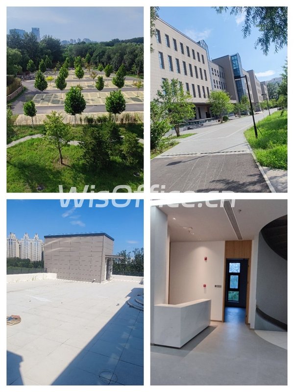 汽车影院如何变身城市新场景？ - 首图