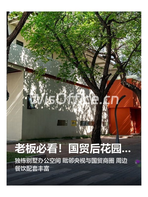 老板必看！国贸后花园的办公秘境 - 首图