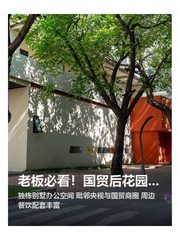 老板必看！国贸后花园的办公秘境 - 缩略图 1