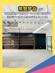 梦谷83平精装 设计公司遗留 - 缩略图 1