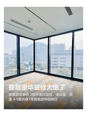 整层豪华装修太绝了 - 缩略图 1