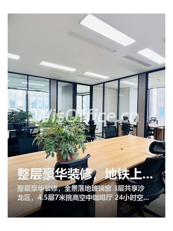 整层豪华装修，地铁上盖0距离 - 首图