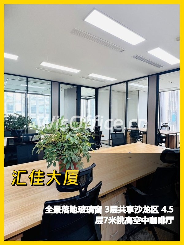 办公室采光绝了，我好喜欢 - 首图