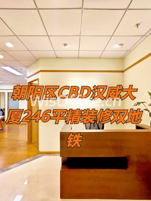 汉威大厦246平精装修双地铁 - 首图