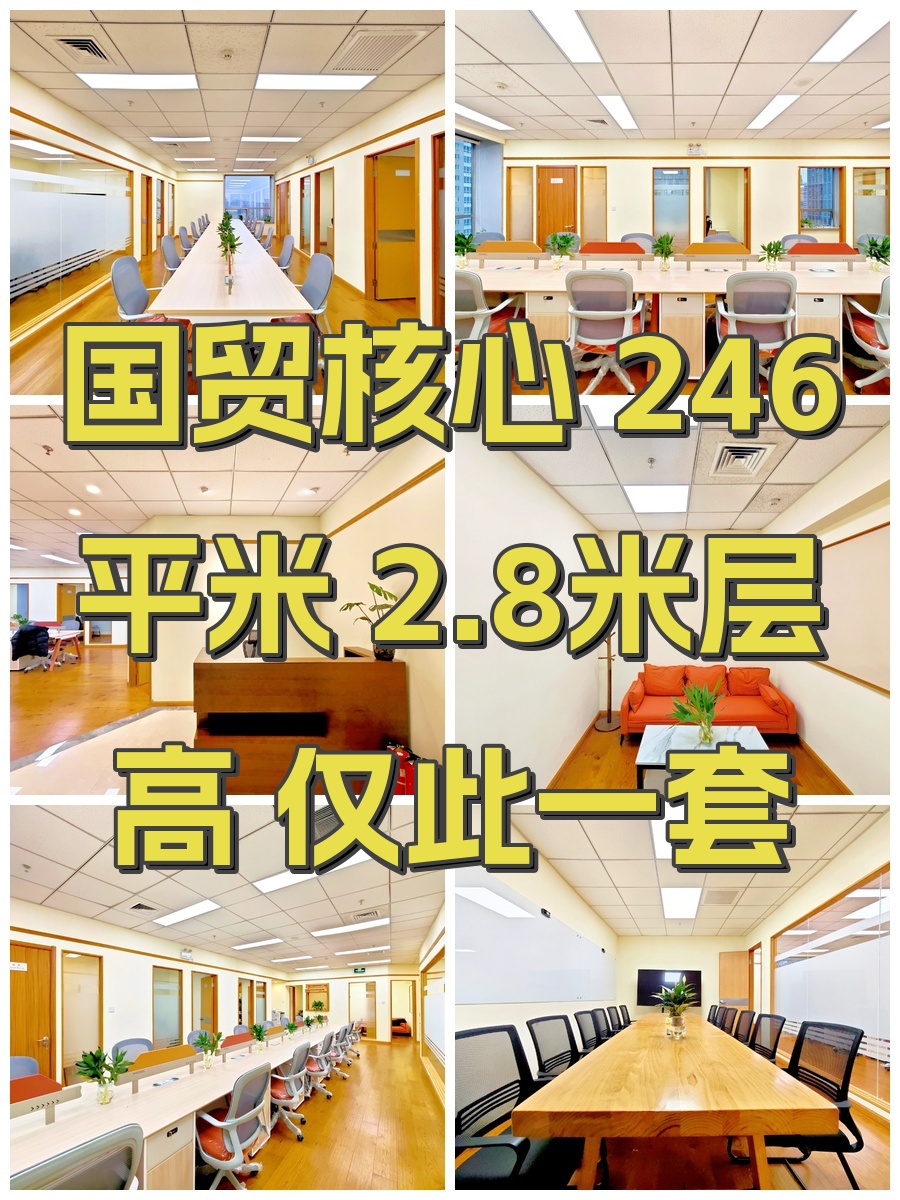国贸核心 246平米 2.8米层高 仅此一套