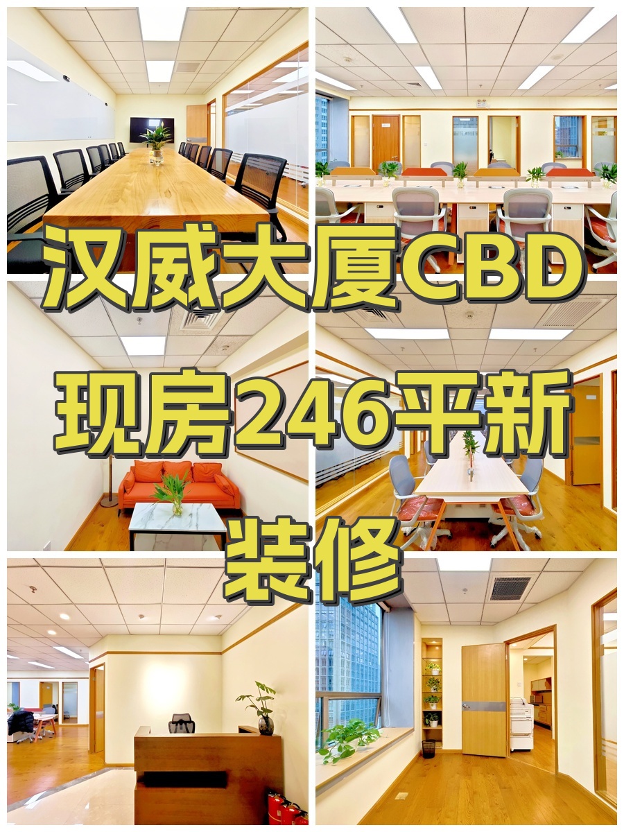 汉威大厦CBD现房246平新装修