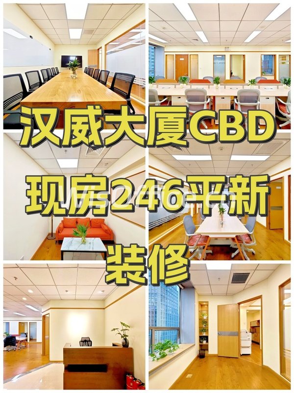 汉威大厦CBD现房246平新装修 - 首图
