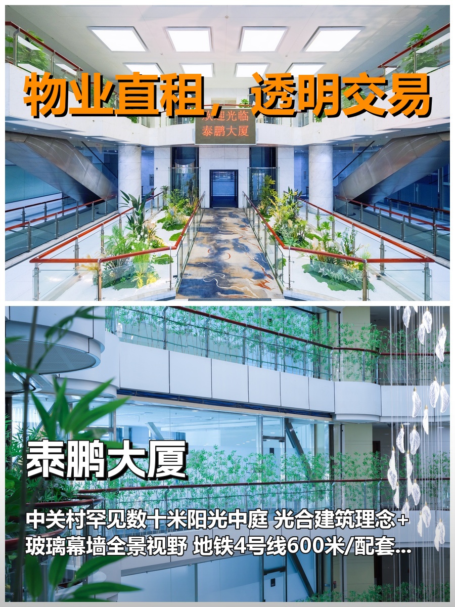 真房｜泰鹏大厦｜142平｜北向｜这采光谁懂啊