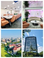 海淀老板爆了！275平阳台撑起15人筋斗云 - 缩略图 1