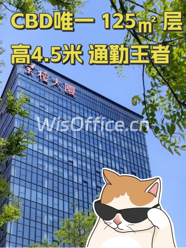 CBD唯一 125㎡ 层高4.5米 通勤王者 - 首图