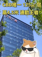 CBD唯一 125㎡ 层高4.5米 通勤王者 - 缩略图 1
