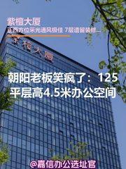 朝阳老板笑疯了：125平层高4.5米办公空间 - 缩略图 1