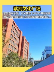 亦庄紫荆文化广场 145平 紧邻京东小米 - 缩略图 1