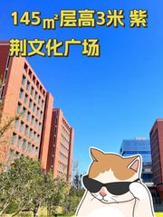 145㎡层高3米 紫荆文化广场 - 缩略图 1