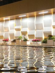 今天来看房，紫荆文化广场的落地窗太赞了 - 缩略图 1