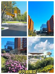 亦庄紫荆文化广场 145平 绿地公园 楼顶花园 - 缩略图 1