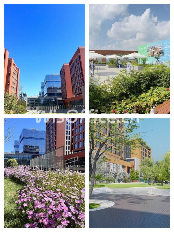 巨头环伺！这地儿商务合作一步到位 - 首图